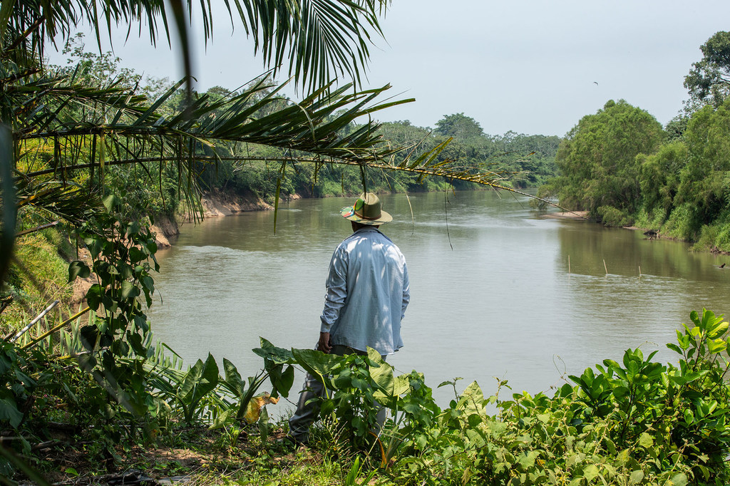 Un campesino mira el río Aguán, cerca de la cooperativa.